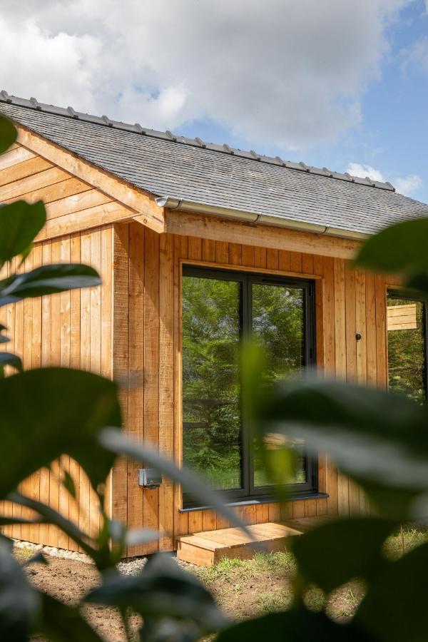 The Weeping Willow Bury St. Edmunds Экстерьер фото